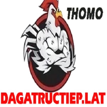 dagatructieplat