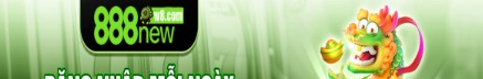 888neww8com