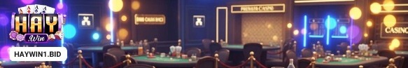 haywin1bid