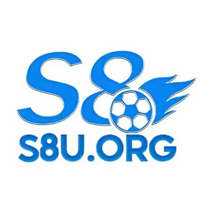 s8uorg1