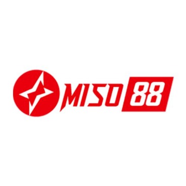 miso88snett