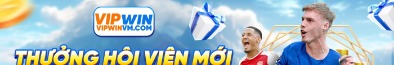 vipwinvmcom