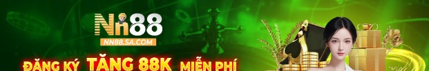 nn88sacom
