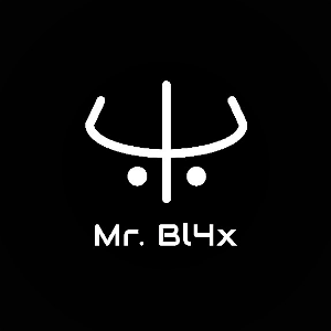 Mr. Bl4x