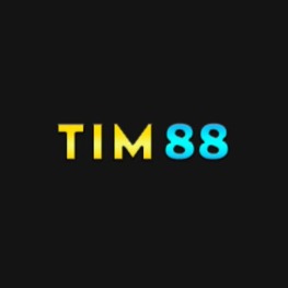 tim88art