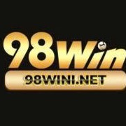 98wininet
