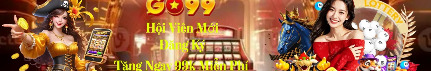 go990net