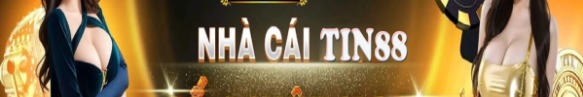 tin88aorg
