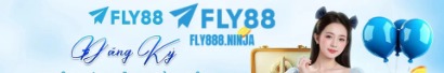 fly888ninja