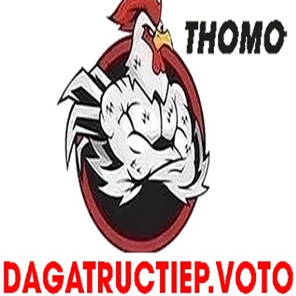 dagatructiepvoto
