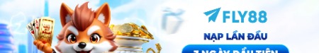 fly88deal