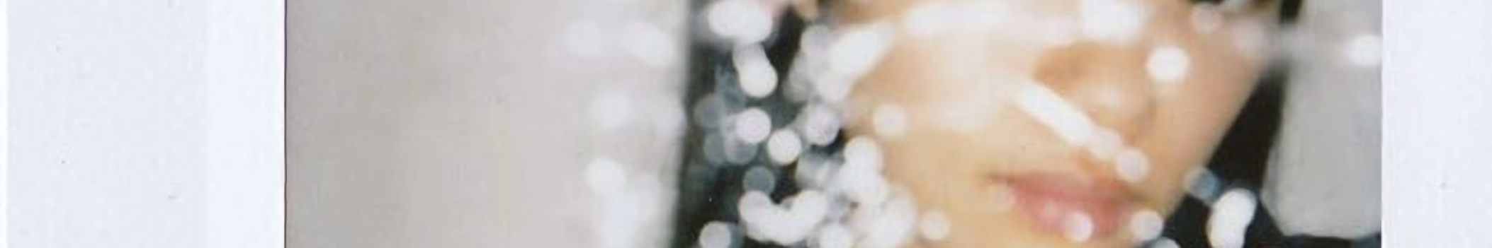 ひまわりの枯れ