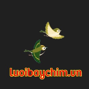 luoibaychimvn