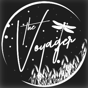 the Voyager