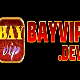 Bayvipdev