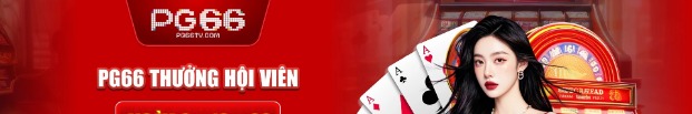 pg66tvcom