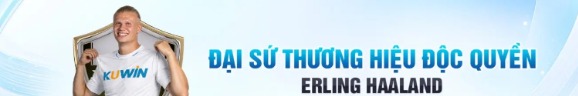 kuwin3vncom