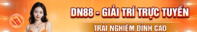 dn88jpnet