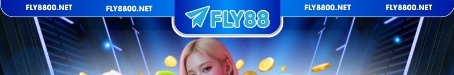fly8800net
