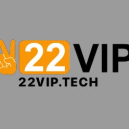 22viptech