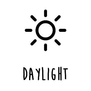 DayLight