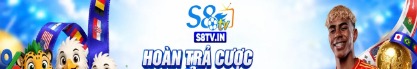 s8tvin