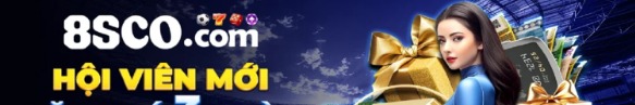 8scocom