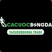 Cacuocbongdatrade2026