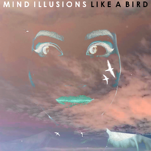 Mind Illusions