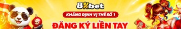 8KBET6vip