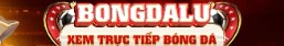 bongda1x