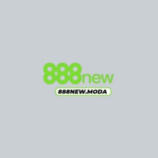 888newmoda1