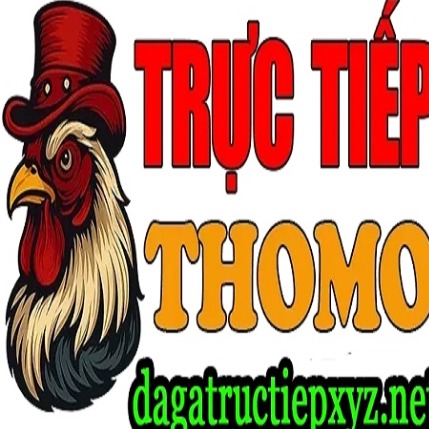 dagatructiepxyznet