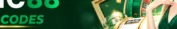 vic88codes