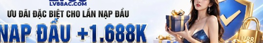 lv8800com