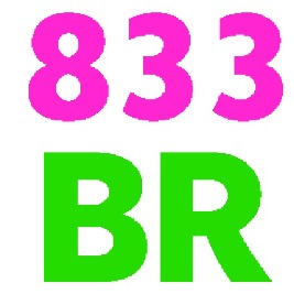 833brorg