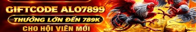 alo789cd