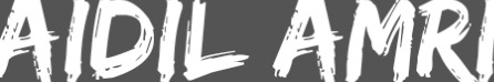Aidil Amri
