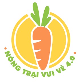 nongtraivuive