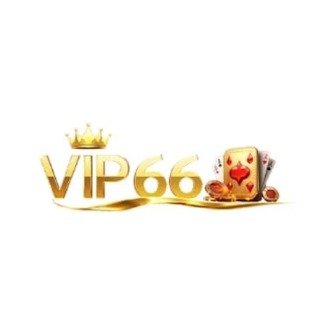 bingoplusfit