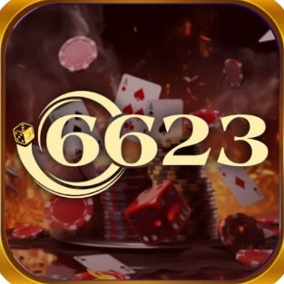 6623vnshop