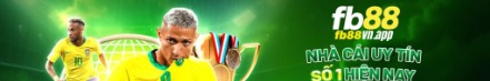 fb88vnapp