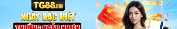 tg88ltd