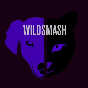 Wildsmash Music