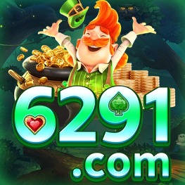 6291app
