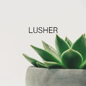 LUSHER