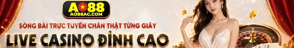ao88008com