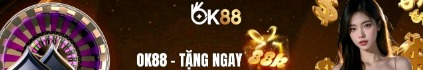 ok88aorg