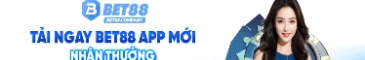 bet88company