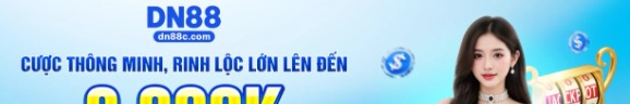 dn88ccom